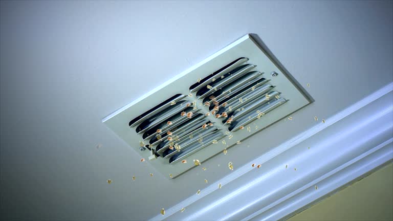 Best Dryer Vent Cleaning Services  in Pleasant Hills, MD